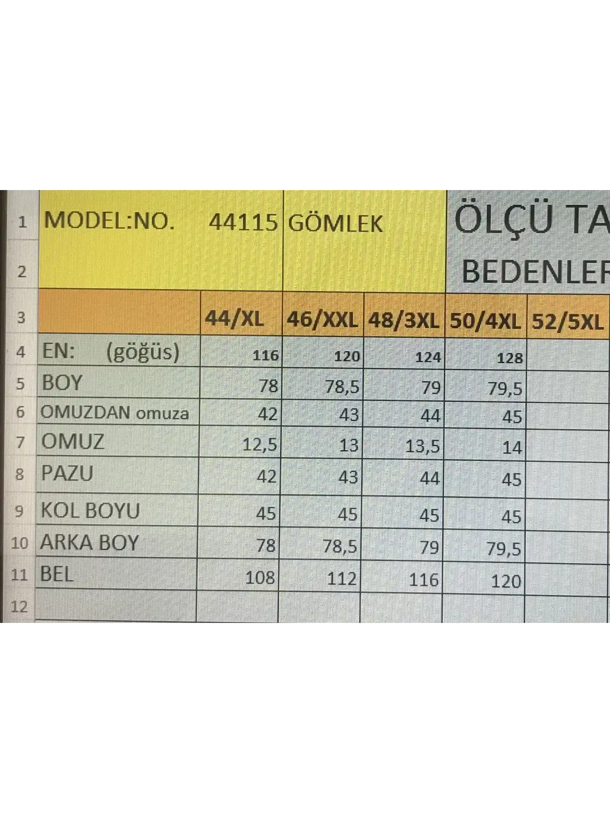 BÜYÜK BEDEN KADIN GÖMLEK