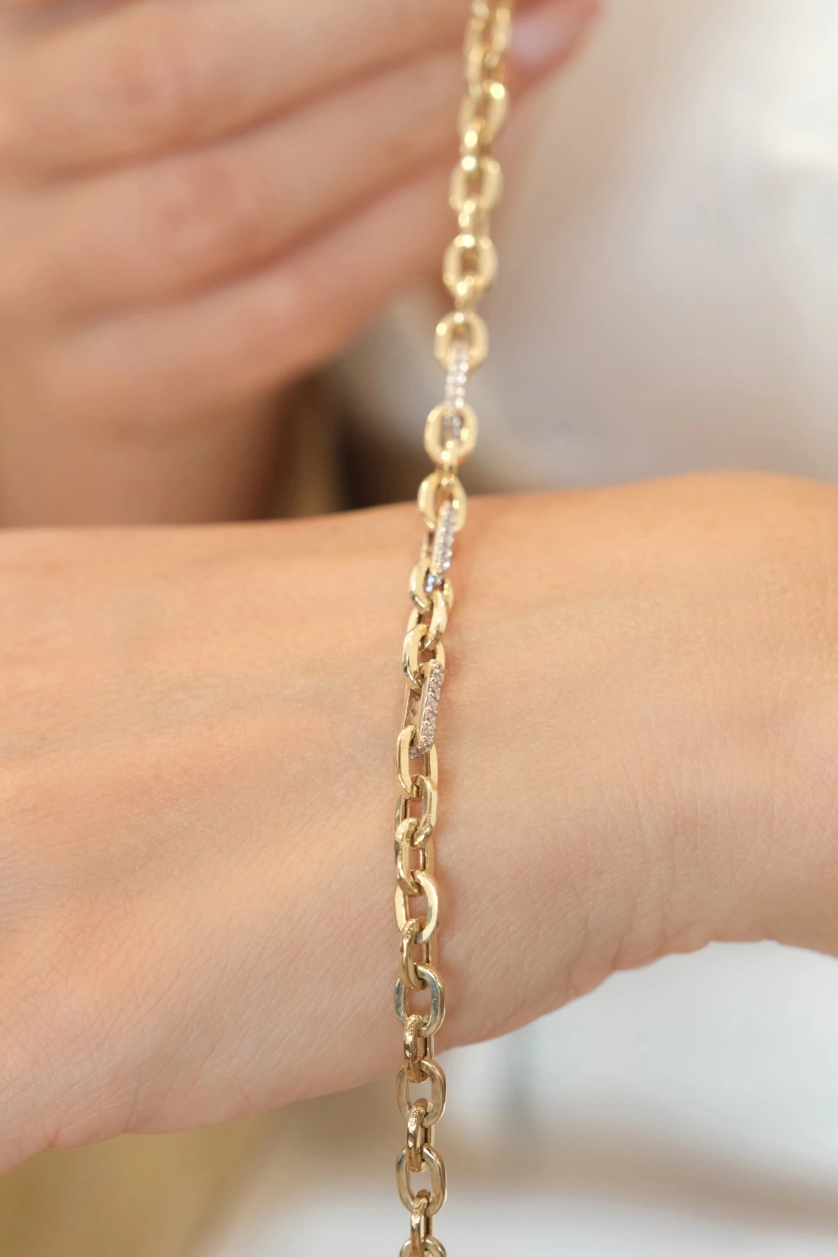 Asil 14 Ayar Taşlı Halka Zincir Altın Bileklik BLK5628