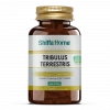 Shiffa Home Tribulus Terrestris Çoban Çökerten 60 Kapsül