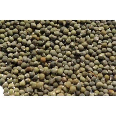 Dökme Baharat Bamya Tohumu 100 gr