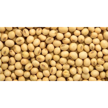 Dökme Bakliyat Soya Fasulyesi - 500 gr