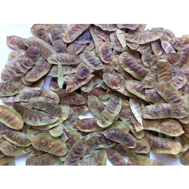 Dökme Bitkiler Aşlık Otu / Devegözü -100 Gr