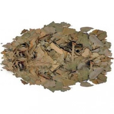 Dökme Bitkiler Avokado Yaprağı - 100 Gr