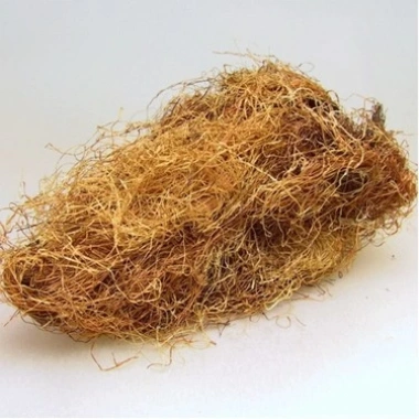 Dökme Bitkiler Mısır Püskülü -100 Gr