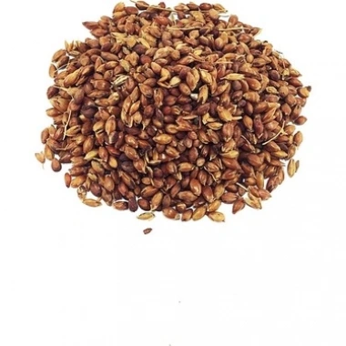 Dökme Bitkiler Süpürge Tohumu - 100 Gr