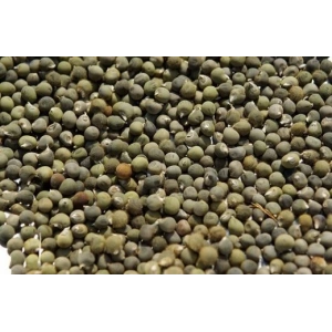 Dökme Baharat Bamya Tohumu 250 gr