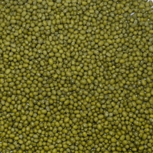 Dökme Bakliyat Maş Fasülyesi - 1 kg