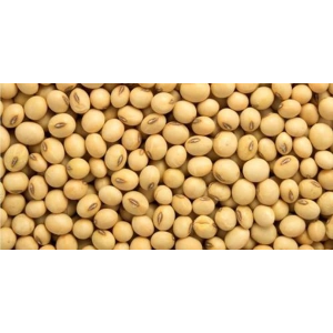 Dökme Bakliyat Soya Fasulyesi - 1 kg