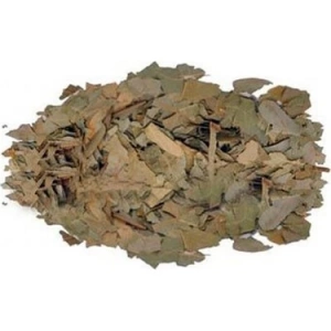 Dökme Bitkiler Avokado Yaprağı - 100 Gr