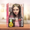 Colorx Saç Boyası Tekli Set - 8.1 Orta Küllü Kumral