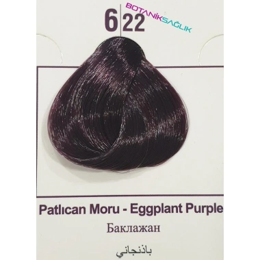 Colorx Saç Boyası Tekli Set - 6.22 PATLICAN MORU