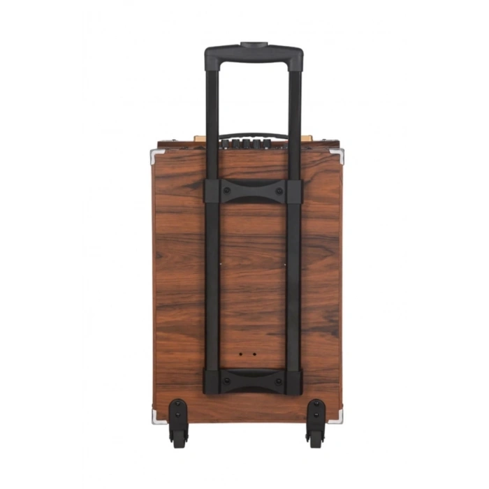 B-Q12 - 12 inch 9000w Subwoofer Kablosuz Mikrofon