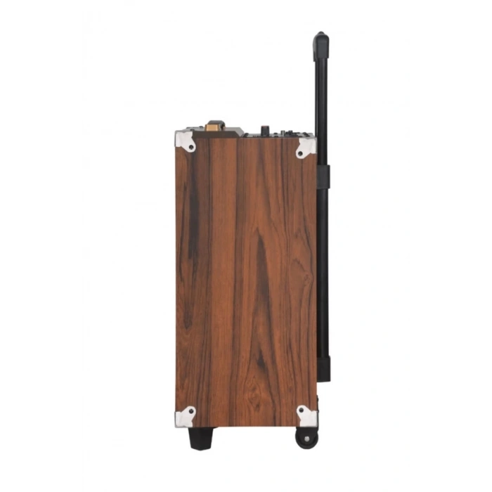 B-Q12 - 12 inch 9000w Subwoofer Kablosuz Mikrofon