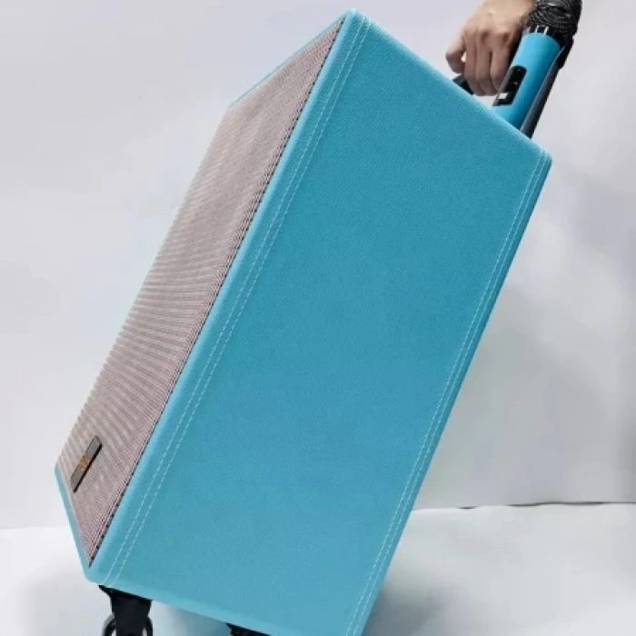 B-V8 -8 inch 800w Subwoofer Kablosuz Mikrofon