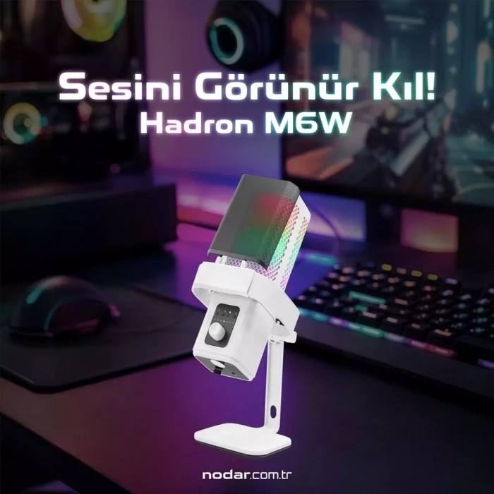 Hadron M6W Profesyonel Masaüstü RGB Gaming Mikrofon 192kHz/24Bit USB ve Type-C Beyaz