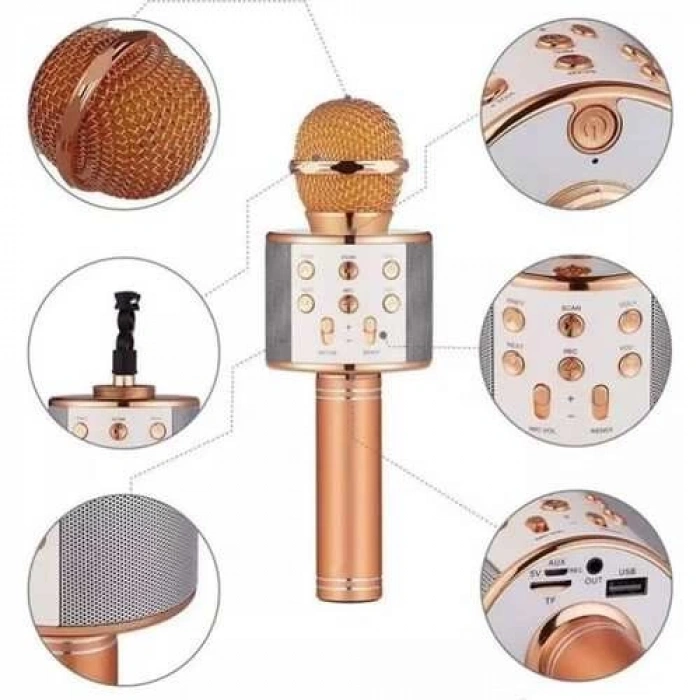 PG-116 WS858 KARAOKE MİKROFON VE BULUTUT SPEAKER