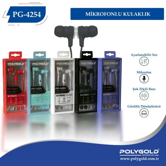 PG-4254 Mikrofonlu Kulaklık