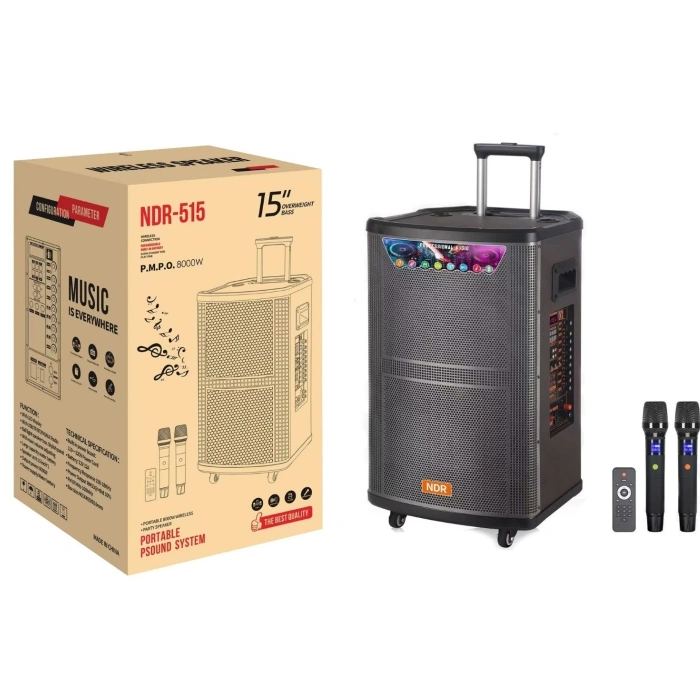 Platoon PL-4608 RGB Işıklı USB/TF/FM/BT/TWS Kablosuz Mikrofonlu Öğretmen/Toplantı Anfisi (NDR-515)