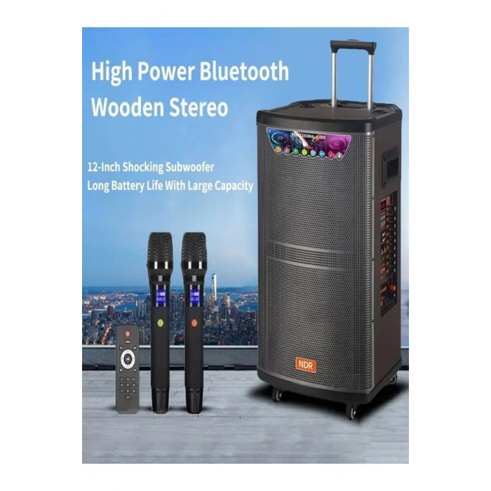 Platoon PL-4608 RGB Işıklı USB/TF/FM/BT/TWS Kablosuz Mikrofonlu Öğretmen/Toplantı Anfisi (NDR-515)