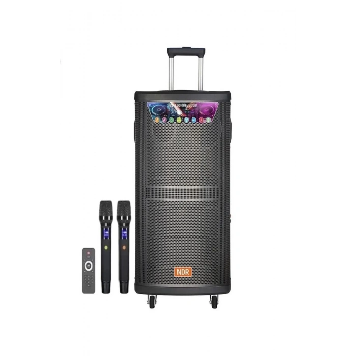 Platoon PL-4608 RGB Işıklı USB/TF/FM/BT/TWS Kablosuz Mikrofonlu Öğretmen/Toplantı Anfisi (NDR-515)