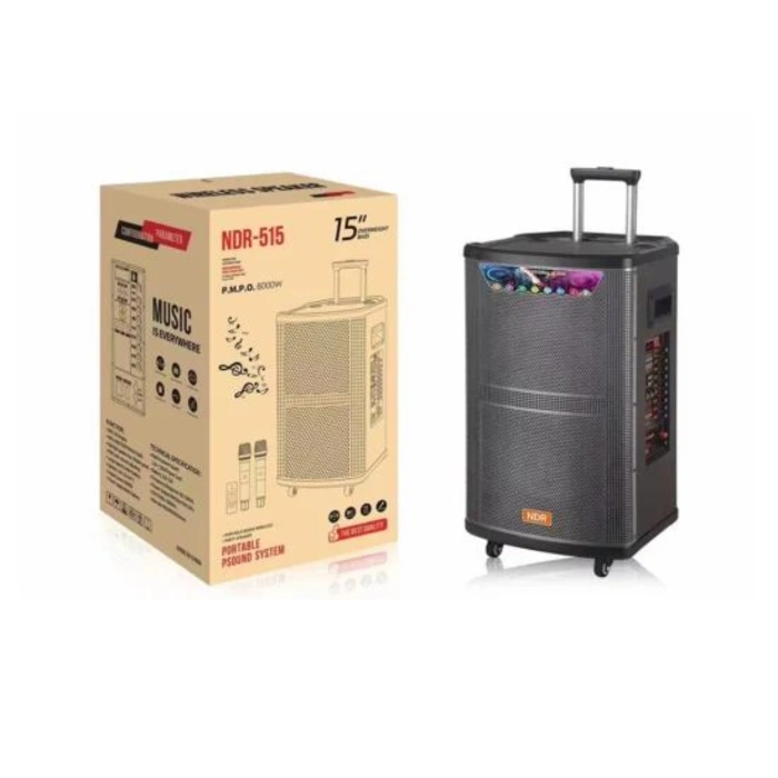 Platoon PL-4608 RGB Işıklı USB/TF/FM/BT/TWS Kablosuz Mikrofonlu Öğretmen/Toplantı Anfisi (NDR-515)