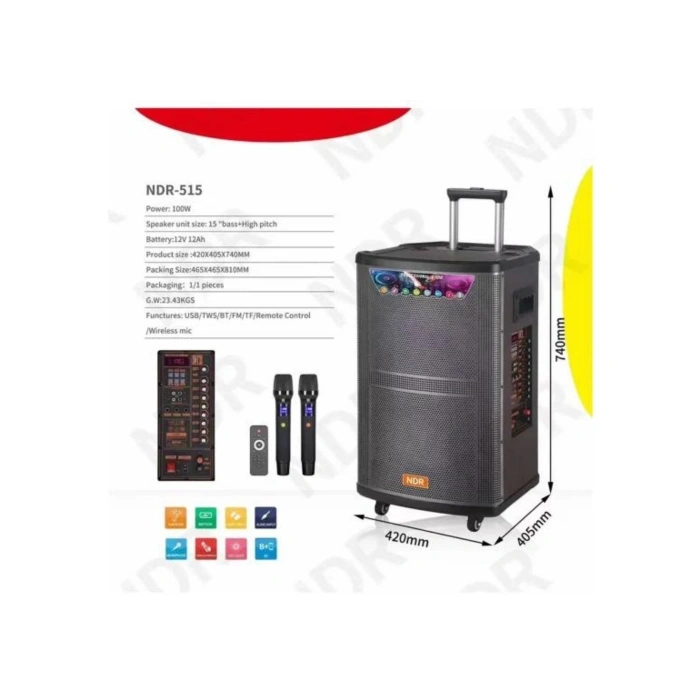 Platoon PL-4608 RGB Işıklı USB/TF/FM/BT/TWS Kablosuz Mikrofonlu Öğretmen/Toplantı Anfisi (NDR-515)