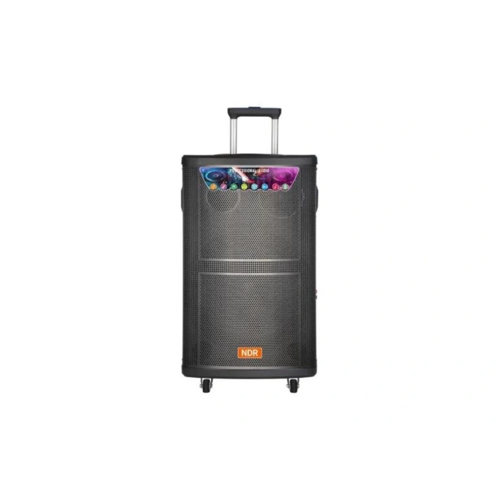 Platoon PL-4608 RGB Işıklı USB/TF/FM/BT/TWS Kablosuz Mikrofonlu Öğretmen/Toplantı Anfisi (NDR-515)