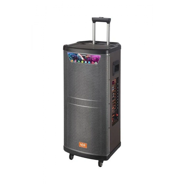 Platoon PL-4608 RGB Işıklı USB/TF/FM/BT/TWS Kablosuz Mikrofonlu Öğretmen/Toplantı Anfisi (NDR-515)