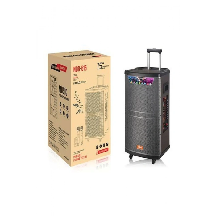 Platoon PL-4608 RGB Işıklı USB/TF/FM/BT/TWS Kablosuz Mikrofonlu Öğretmen/Toplantı Anfisi (NDR-515)