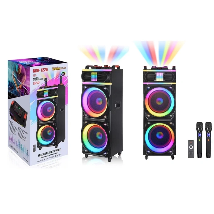 Platoon PL-4609 RGB Işıklı USB/TF/FM/BT/TWS Kablosuz Mikrofonlu Öğretmen/Toplantı Anfisi (NDR-1226)