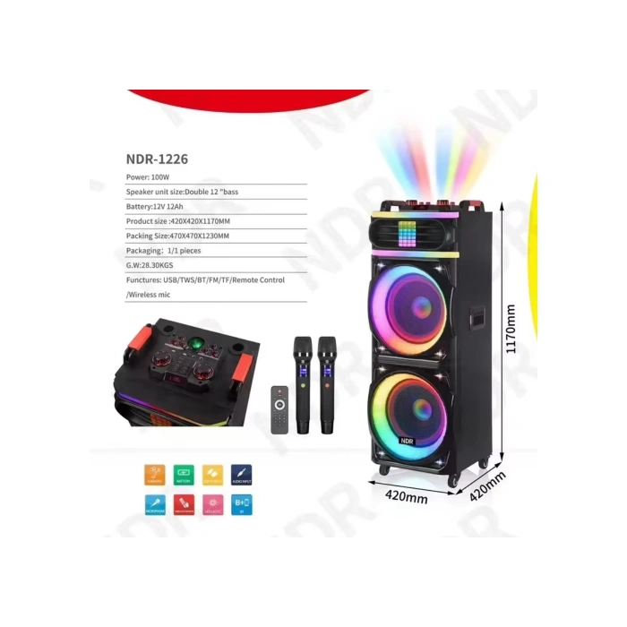 Platoon PL-4609 RGB Işıklı USB/TF/FM/BT/TWS Kablosuz Mikrofonlu Öğretmen/Toplantı Anfisi (NDR-1226)