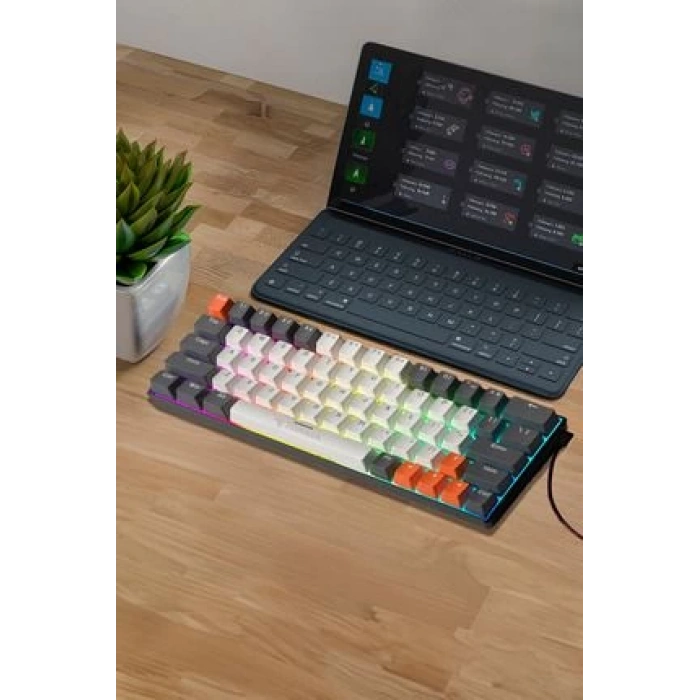 Torima Tk-06 Beyaz Mekanik Blue Switch Rgb Işıklı Kablolu Q Klavye