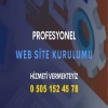 Profesyonel Web Siteleri Yapıyoruz!