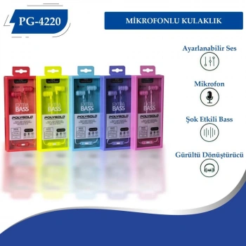 PG-4220 Mikrofonlu Kulaklık
