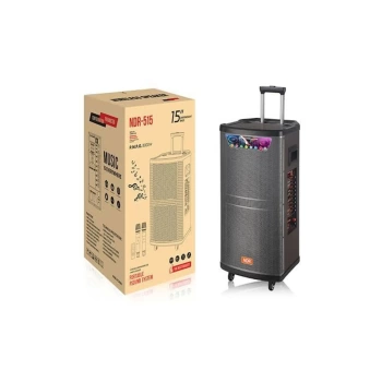Platoon PL-4608 RGB Işıklı USB/TF/FM/BT/TWS Kablosuz Mikrofonlu Öğretmen/Toplantı Anfisi (NDR-515)