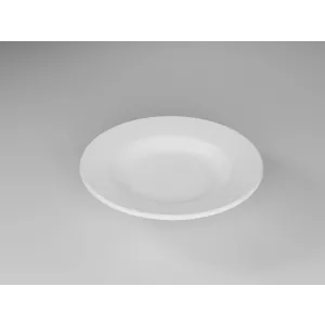 21 cm Deep Dinner Plate | Unbreakable Polycarbonate, Food-Safe Material