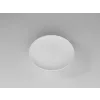 19 cm Flat Plate - Unbreakable Polycarbonate | Dessert, Serving, Presentation