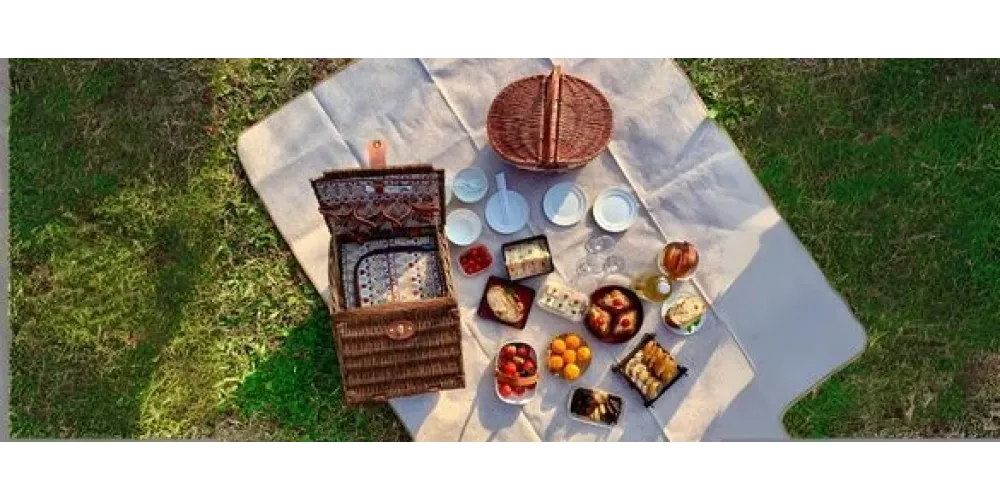 لماذا تعتبر أطباق البوليكاربون المقسمة مثالية للهواء الطلق والنزهات؟