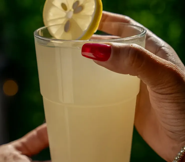 300 ml Şeffaf Casablanca Bardak Polikarbon, Kırılmaz