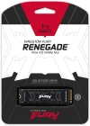 1TB KINGSTON FURY Renegade M.2 NVMe PCIe 4.0 SFYRS/1000G 6000/7300MB/s