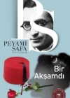 Bir Akşamdı