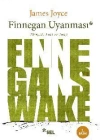 Finnegan Uyanması