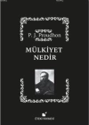 Mülkiyet Nedir