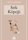 Sirk Köpeği