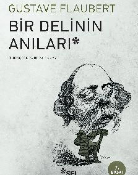 Bir Delinin Anıları