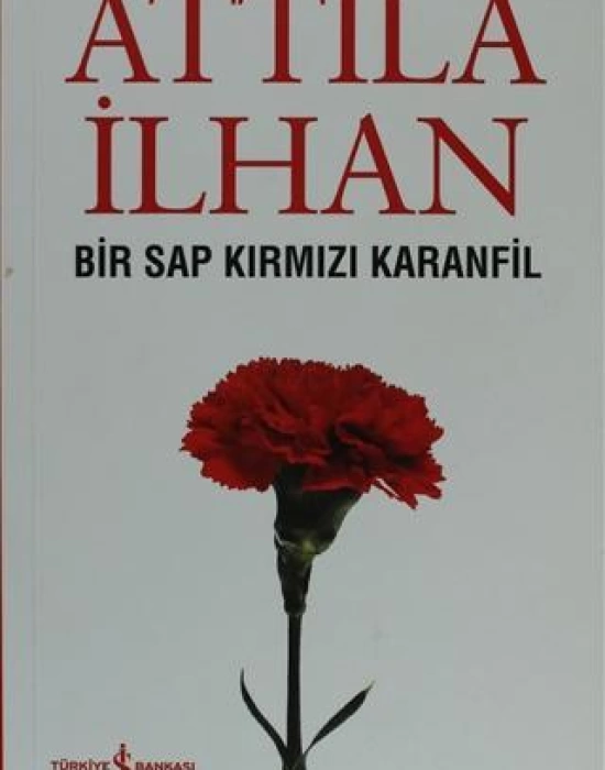 Bir Sap Kırmızı Karanfil Cumhuriyet Söyleşileri (Eylül 96 - Mart 97)