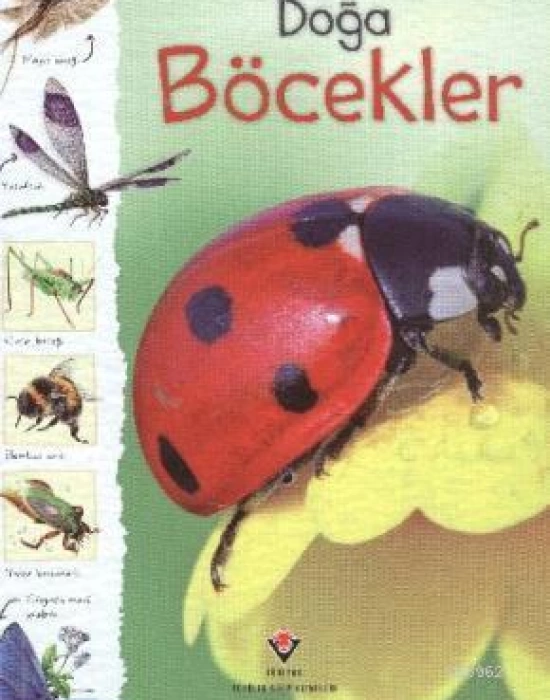 Doğa - Böcekler