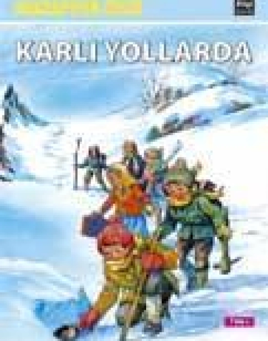 Karlı Yollarda