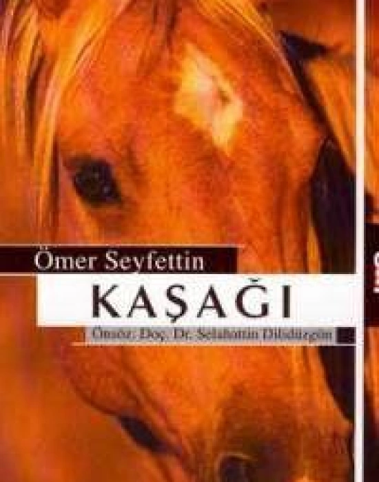 Kaşağı