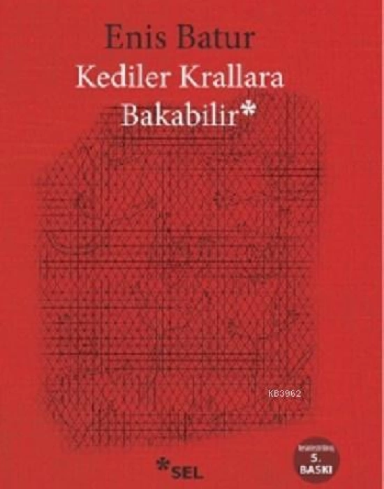 Kediler Krallara Bakabilir